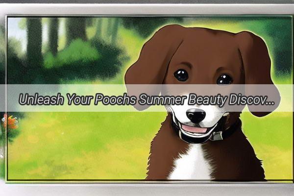 Unleash Your Poochs Summer Beauty Discover the Ultimate Dog Grooming Tool Recommended by the Stylish Shaver Xiao Yang